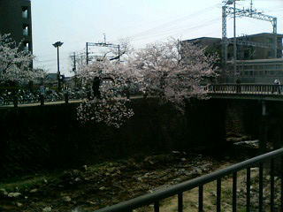 tozan1.jpg