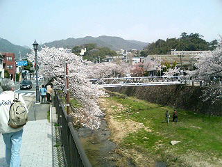 tozan2.jpg